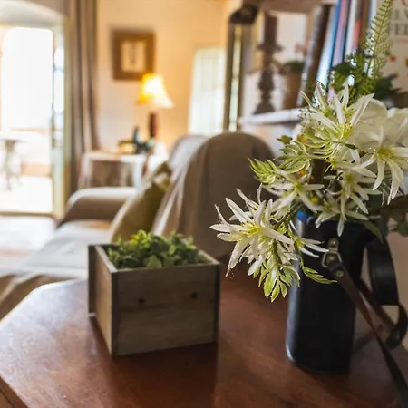 Hotel Mas Gran De - Mas Rural - & Events *